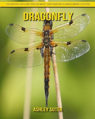 Book cover for Dragonfly