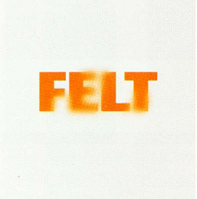 Book cover for Felt