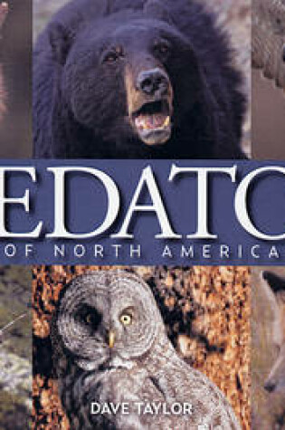 Cover of Predators of North America