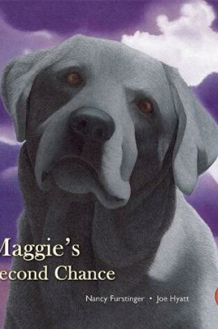 Cover of Maggie's Second Chance