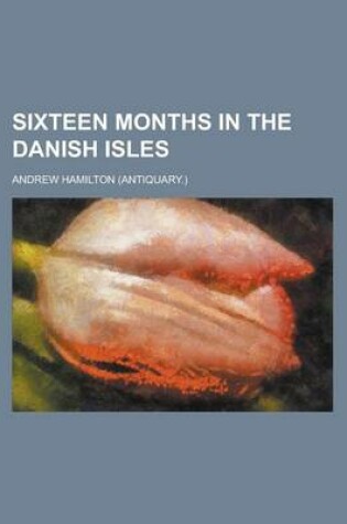 Cover of Sixteen Months in the Danish Isles