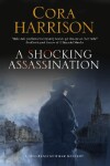 Book cover for A Shocking Assassination
