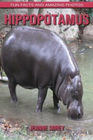 Cover of Hippopotamus