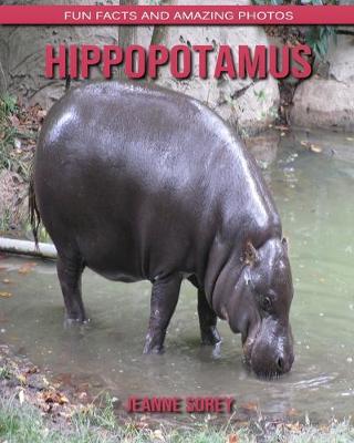 Book cover for Hippopotamus