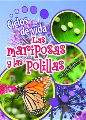 Book cover for Ciclos de Vida de Las Mariposas y Las Polillas (Butterflies and Moths)