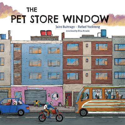 Book cover for The Pet Store Window