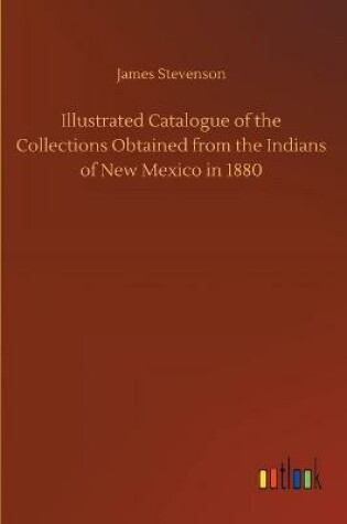 Cover of Illustrated Catalogue of the Collections Obtained from the Indians of New Mexico in 1880