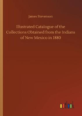 Book cover for Illustrated Catalogue of the Collections Obtained from the Indians of New Mexico in 1880