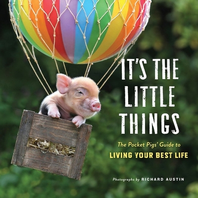 Book cover for It's the Little Things