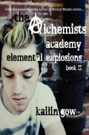 Cover of The Alchemists Academy Book 2