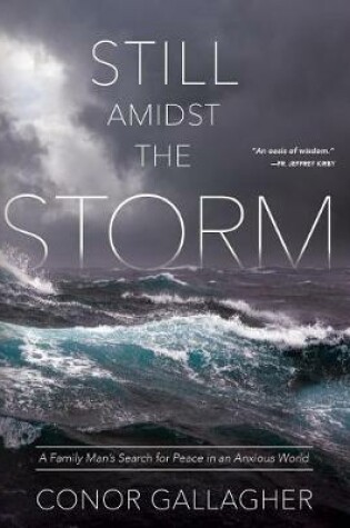 Cover of Still Amidst the Storm