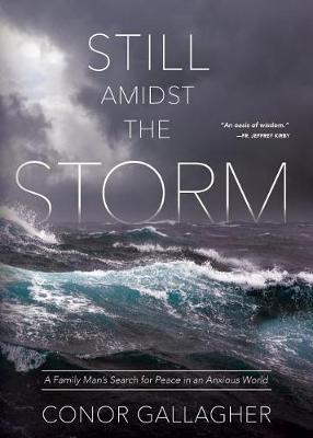 Book cover for Still Amidst the Storm