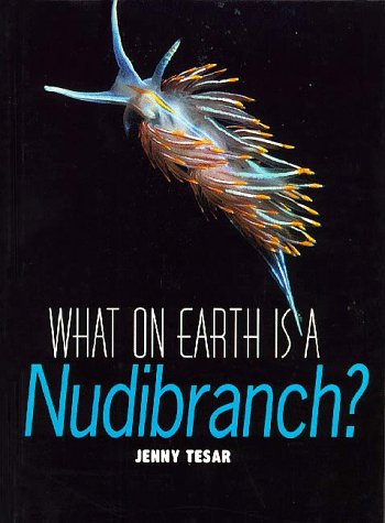 Book cover for What on Earth is a Nudibranch?