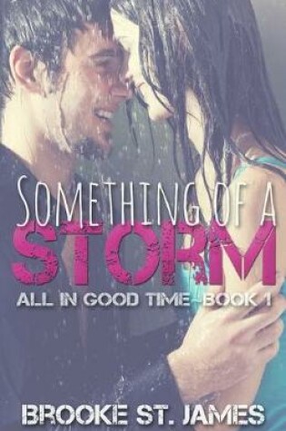 Cover of Something of a Storm