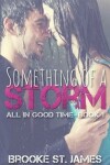 Book cover for Something of a Storm