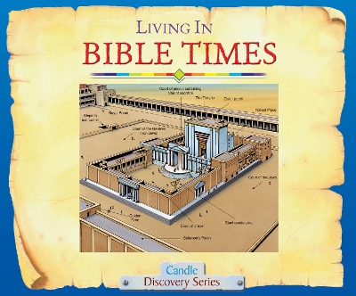 Book cover for Living in Bible Times