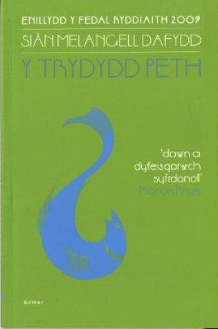 Cover of Trydydd Peth, Y (Print Bras)