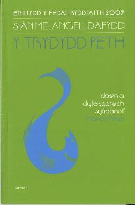 Book cover for Trydydd Peth, Y (Print Bras)