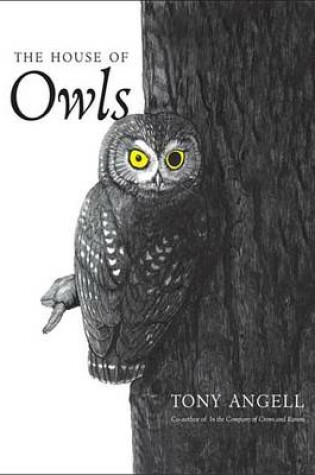 Cover of The House of Owls