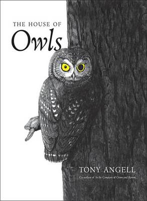 Book cover for The House of Owls