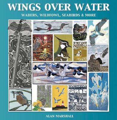 Book cover for Wings Over Water