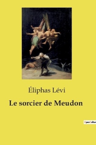 Cover of Le sorcier de Meudon