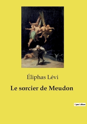 Book cover for Le sorcier de Meudon