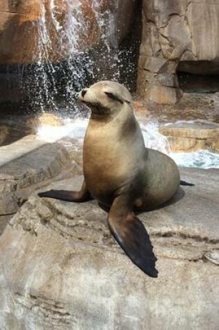 Cover of Seal on a Rock Journal