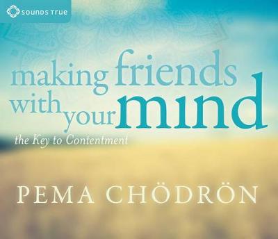 Book cover for Making Friends with Your Mind