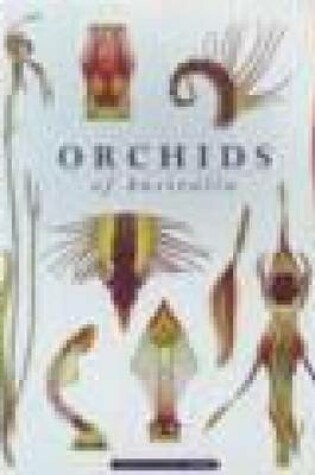 Cover of Orchids of Australia