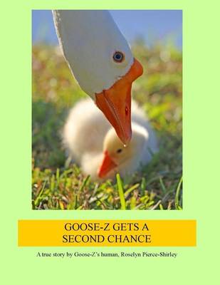 Cover of Goose-Z Gets a Second Chance