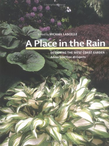 Book cover for A Place in the Rain