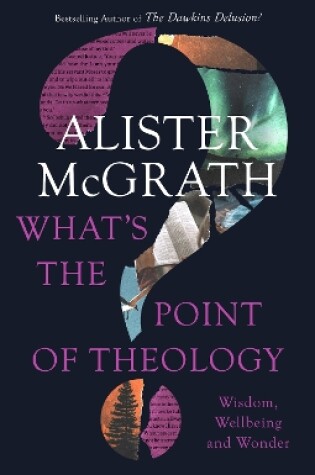 Cover of What's the Point of Theology?