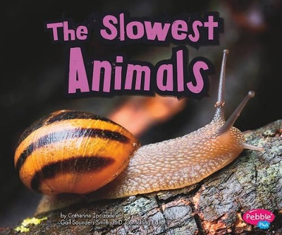 Cover of The Slowest Animals