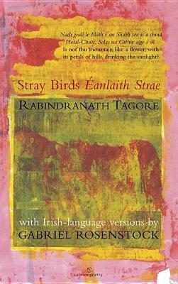 Book cover for Stray Birds / Eanlaith Strae