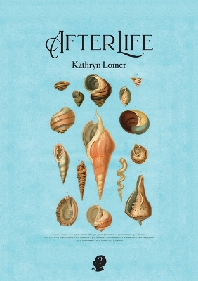 Book cover for AfterLife