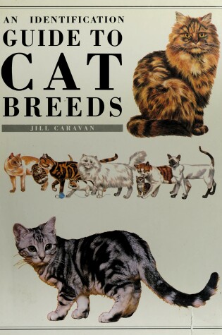 Cover of Indentification Guide to Cat Breeds