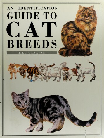 Book cover for Indentification Guide to Cat Breeds