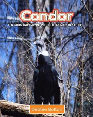 Book cover for Condor