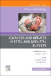 Book cover for Advances and Updates in Fetal and Neonatal Surgery, An Issue of Clinics in Perinatology