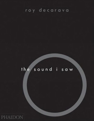 Book cover for The Sound I Saw