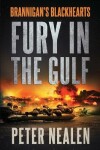 Book cover for Fury in the Gulf