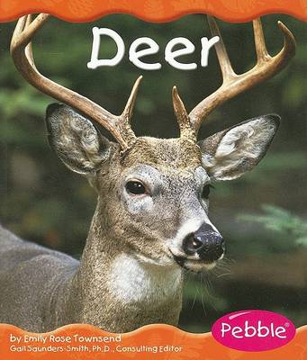 Book cover for White-Tailed Deer