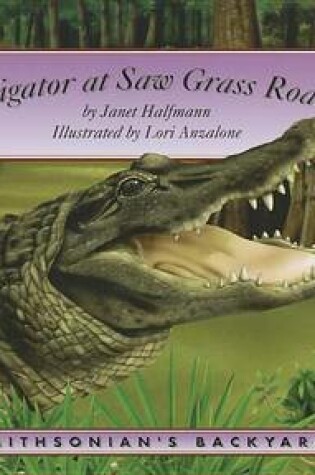 Cover of Alligator at Saw Grass Road