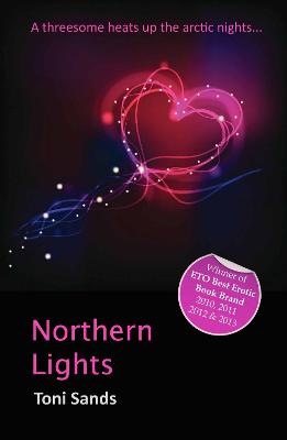 Book cover for Northern Lights