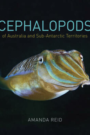 Cover of Cephalopods of Australia and Sub-Antarctic Territories