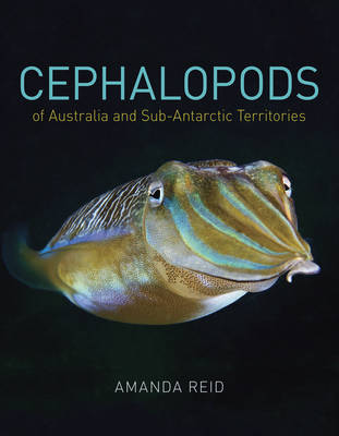 Book cover for Cephalopods of Australia and Sub-Antarctic Territories