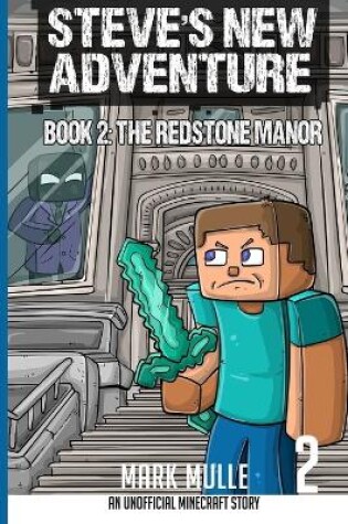 Cover of Steve's New Adventure Book 2