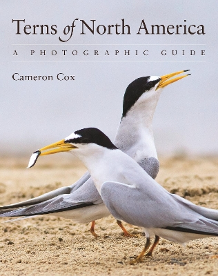 Book cover for Terns of North America