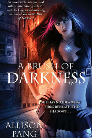 Cover of A Brush of Darkness